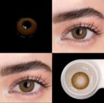 Chocolate Brown