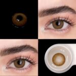 Chocolate Brown