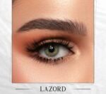 Lazord - Image 2