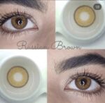 Russian Brown - Image 2